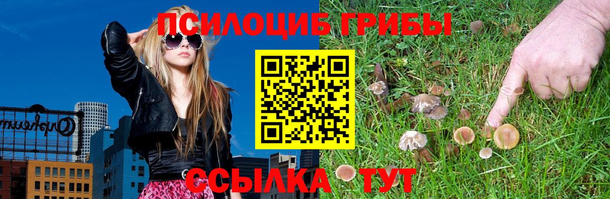 Псилоцибиновые грибы мицелий  Вход с VPN  Чехов  Галлюциногенные грибы MAGIC MUSHROOMS 